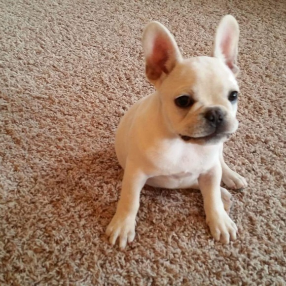 Meet your Posher, Wendy - Picture 5 of 8